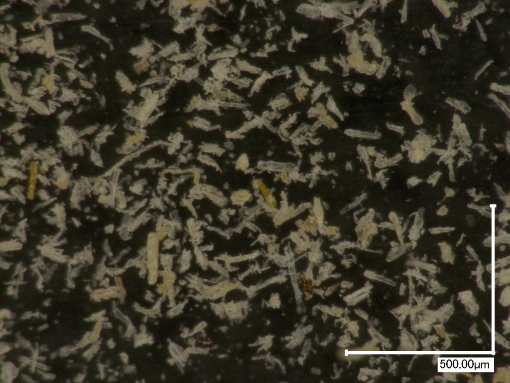 スギ１７８μｍパス木粉　45～106μm区分　計測例